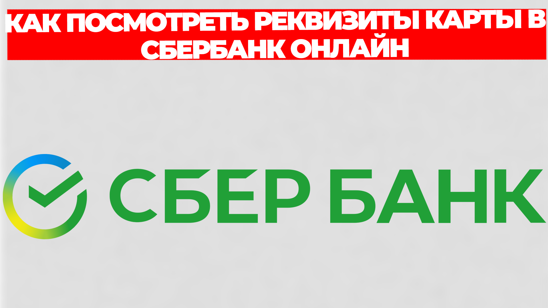 Всезнающий Енот