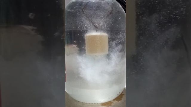 рабочий планктон по холодной воде от PRO plankton смотреть онлайн