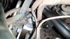 Volkswagen Jetta Chassis and Engine number location#VIN LOCATION
