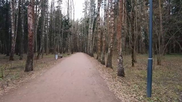 Почему тревога и злость могут разорить вас _ Информационная гигиена, цифровая гигиена, психогигиена