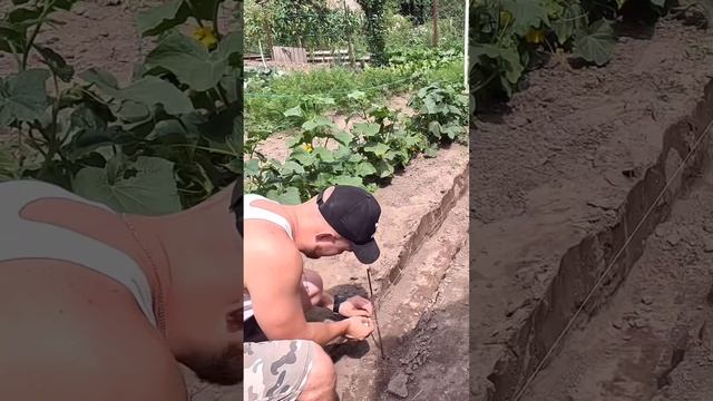 Как я установил бетонные борта… смотреть онлайн