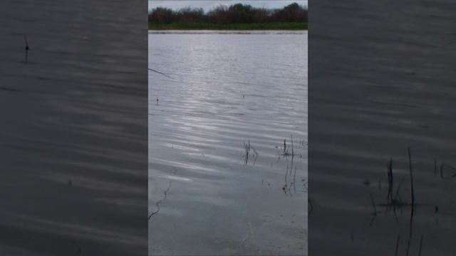 рыбалка в ветер смотреть онлайн