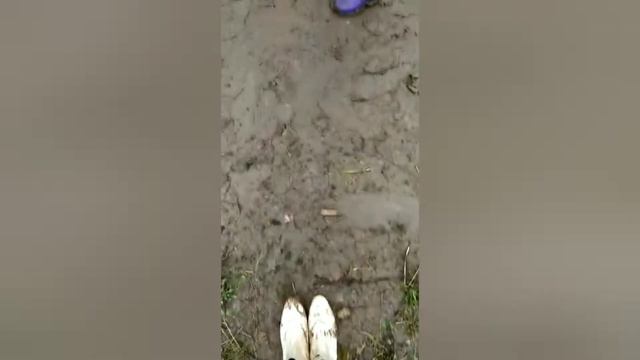 почему сюда смотреть онлайн