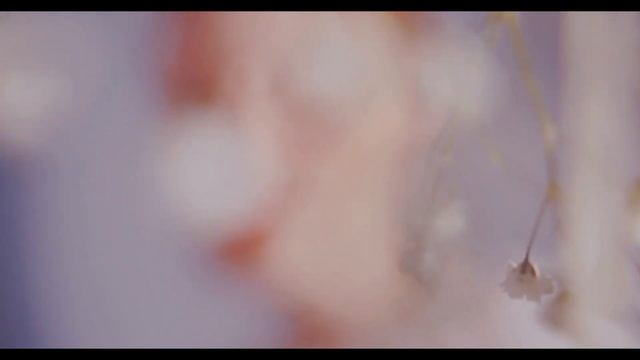 "НА ПОЛ-ЛЮБВИ" - романс. смотреть онлайн