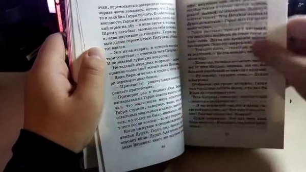 В чём же минусы Гарри Поттера от m Machaon?