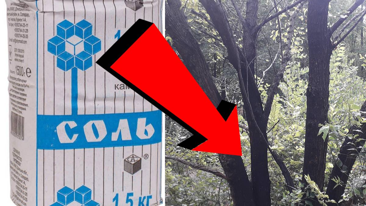 ПОЛЕЗНЫЕ СОВЕТЫ