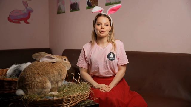 Ждем тебя в гости в самое милое антикафе с кроликами "Зайкафе" ! смотреть онлайн