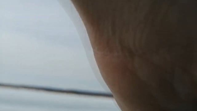 Жерлицы последний лед 2022 2023 смотреть онлайн