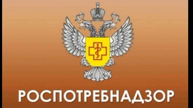 Звонки в Адм-цию, в МЧС, в МВД и в Роспотребнадзор - никто из них внятно не объясняет Масочный режи смотреть онлайн