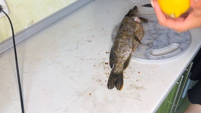 Готовим быстро и весело 