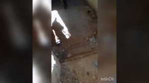 встань народ как сталь