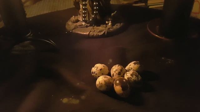 ПЕРЕНЕСТИ БОЛЕЗНЬ НА ПЕРЕПЕЛИНЫЕ ЯЙЦА.. смотреть онлайн