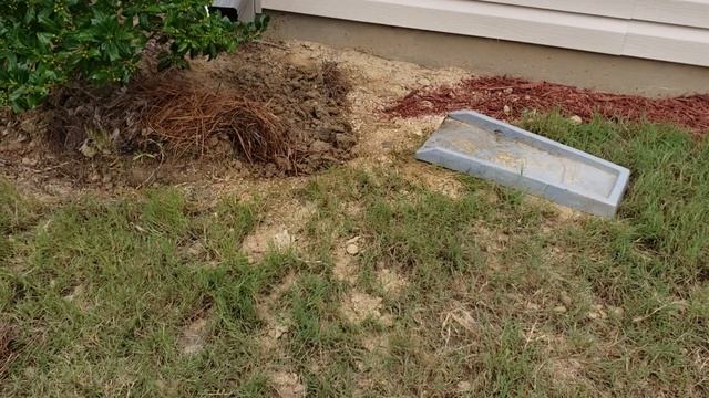 How to Get Rid Of Bees Quick & Easy | DIY смотреть онлайн