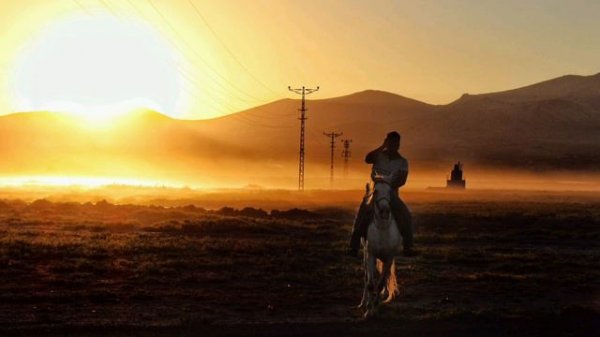 ARASH feat. SHAGGY - DONYA (EXTENDED VERSION) #arash #popmusic #playlist