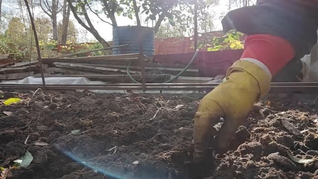 Чтобы все росло, цвело и пахло. Сад и огород на болоте. Жизнь семьи в деревне. смотреть онлайн