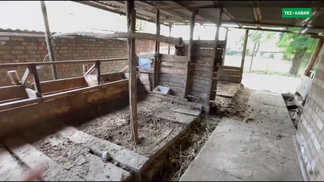 АНАКЕ! 50 соток ЖЕРИ, ҮЙ, 2 САРАЙЫ менен САТЫЛАТ ~ Мал базарга жакын ~ Арзан айтты смотреть онлайн