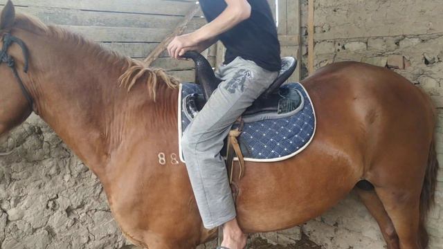 Универсал ээр 1.+996773641171.г.Ош. смотреть онлайн