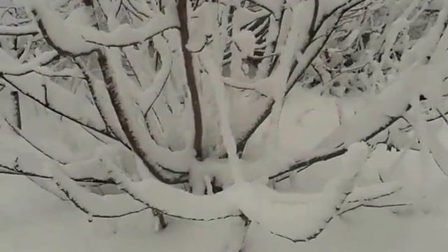 Зима в Адыгее смотреть онлайн