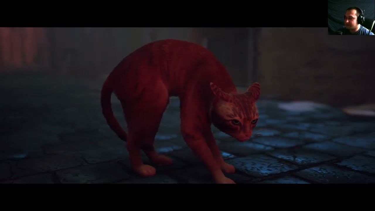 Stray - Обзор кошачьих приключений смотреть онлайн