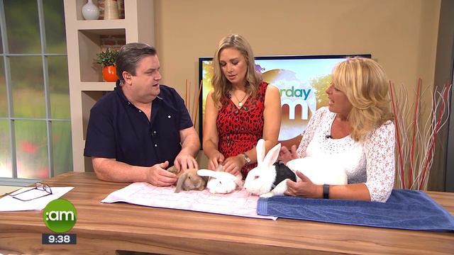 SATURDAY AM GIANT RABBIT смотреть онлайн