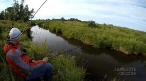 Рыбалка на поплавочную удочку. Окунь, елец, плотва, ротан на опарыша и мотыля