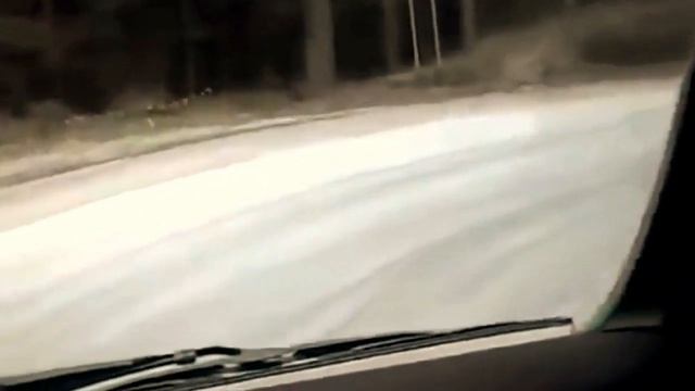 Как она красиво водить лесовоз смотреть онлайн