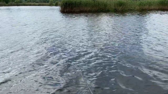 НА РЫБАЛКУ НА ВЕЛИКАХ или ЛОВЛЯ ХИЩНИКА ЛЕТОМ НА ЖИВЦА! смотреть онлайн