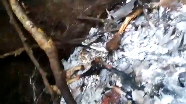 VLOG•На даче.Намочились под дождем.