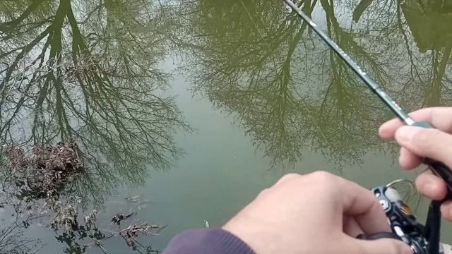 Мормышинг: короткая рыбалка на лесном водоеме. смотреть онлайн