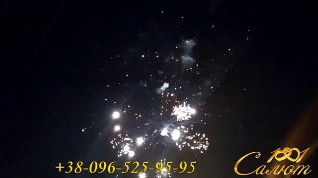Садьба 14 09 19 Глобино кафе Каприз смотреть онлайн