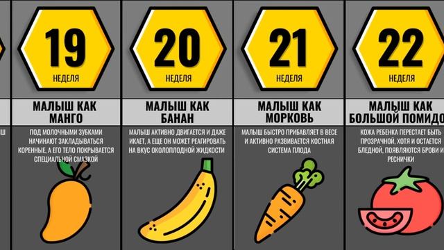 Развитие Ребенка в Утробе Матери смотреть онлайн