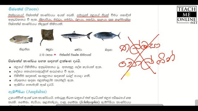 Grade 8 Science lesson 2 Text book - TeachMeOnline.net смотреть онлайн