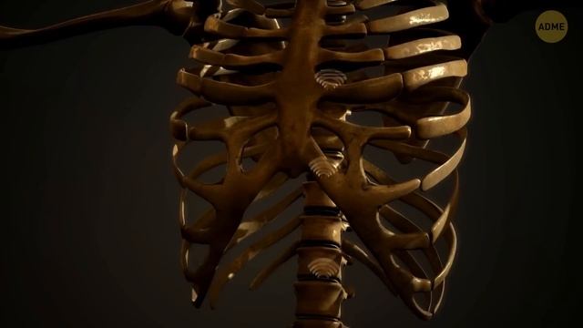 Путешествие к звездам: Раскрытие тайн космоса смотреть онлайн