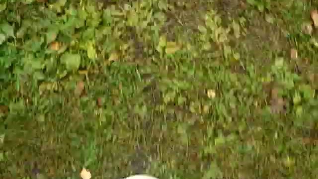 Иду домой я босиком, а дорога РАЗНАЯ такая грязь, щебёнка и т.д. : ))) смотреть онлайн