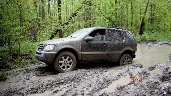 ML W163 Offroad: Лесная прогулка / forest ride