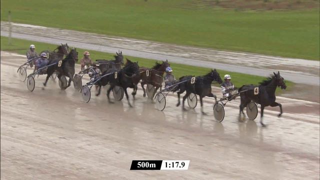 Victoria Park Wolvega 01-10-2021 Koers 7 Kiss Flevo Rhythm - Cees Kamminga смотреть онлайн