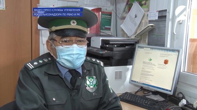 С начала года через этот пункт провели около 2 тысяч 300 тонн подкарантинной про.mp4 смотреть онлайн