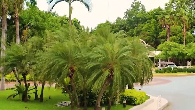 РОССИЙСКОЕ КОНСУЛЬСТВО В ПАТТАЙЕ | ЖЁЛТЫЙ БАНКОМАТ КРУНГСРИ | УБЕР В ТАЙЛАНДЕ смотреть онлайн