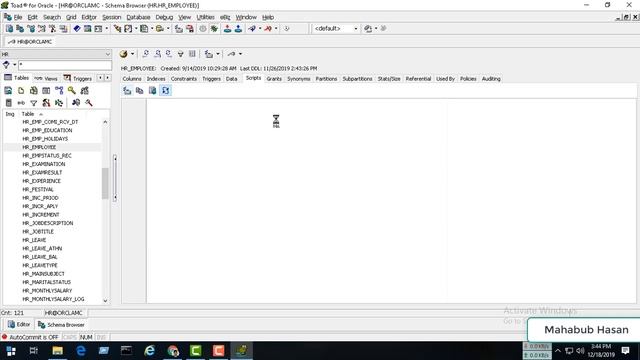How to connect oracle user in Toad смотреть онлайн