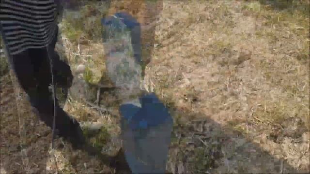 Мощный перфоратор Dewalt D-25721 смотреть онлайн