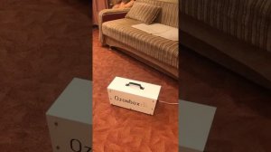 Озонирование квартиры. Устранение неприятного запаха. Дезинфекция. Как делается и зачем?