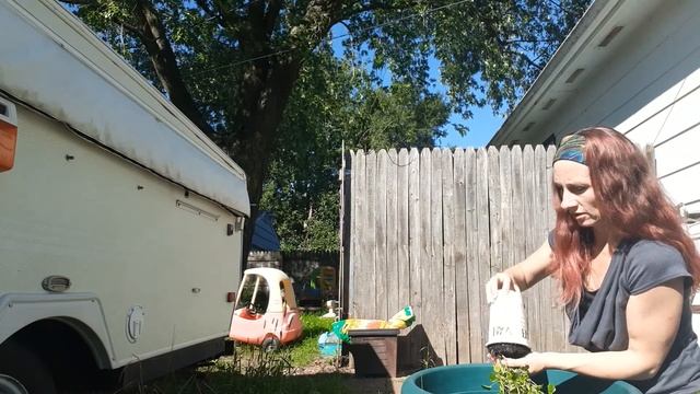Garden Reno Non Starter смотреть онлайн