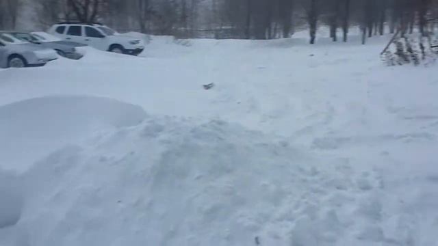 Засыпало снегом Жигулевск 3/3 смотреть онлайн