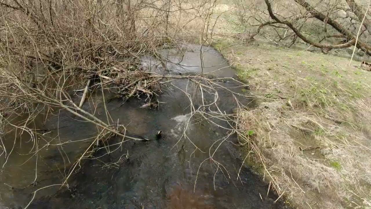 #414 #мормышинг | Разведка ручья | Плотва |