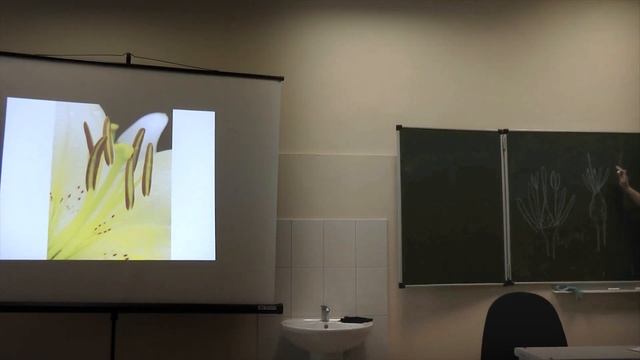 Биология. Платонова А.Г. Морфология растений. Часть 1 смотреть онлайн