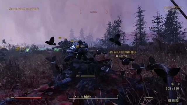 Suppressed Hunting rifle Vs Scorched beast Queen | Non Legendary Weapon Fallout 76 смотреть онлайн
