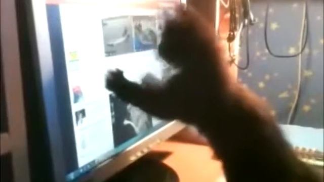 рыбка ,ты где смотреть онлайн