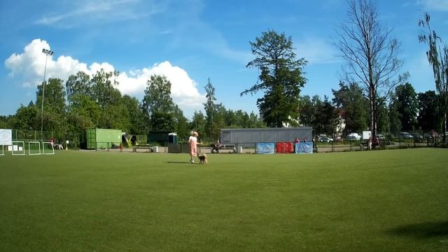 Братанова Ирина и Отто - Чемпионат Санкт-Петербурга по кинологическому фристайлу 2021 смотреть онлайн