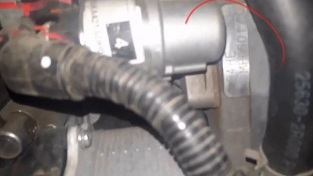 Где находится номер двигателя D4HE KIA CARNIVAL ( дизель) смотреть онлайн