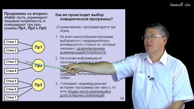 Дубынин В. А. - 100 часов школьной биологии - 1.28. Мышление и принятие решений смотреть онлайн